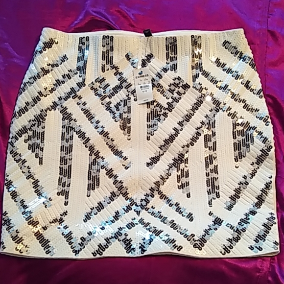 Express Dresses & Skirts - NWT Express Silver / White sparkly mini skirt